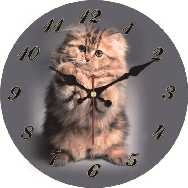 Okrągły zegar ścienny ze zdjęciem kota